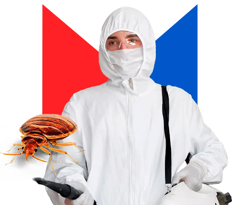 Туман от клопов Туман от клопов